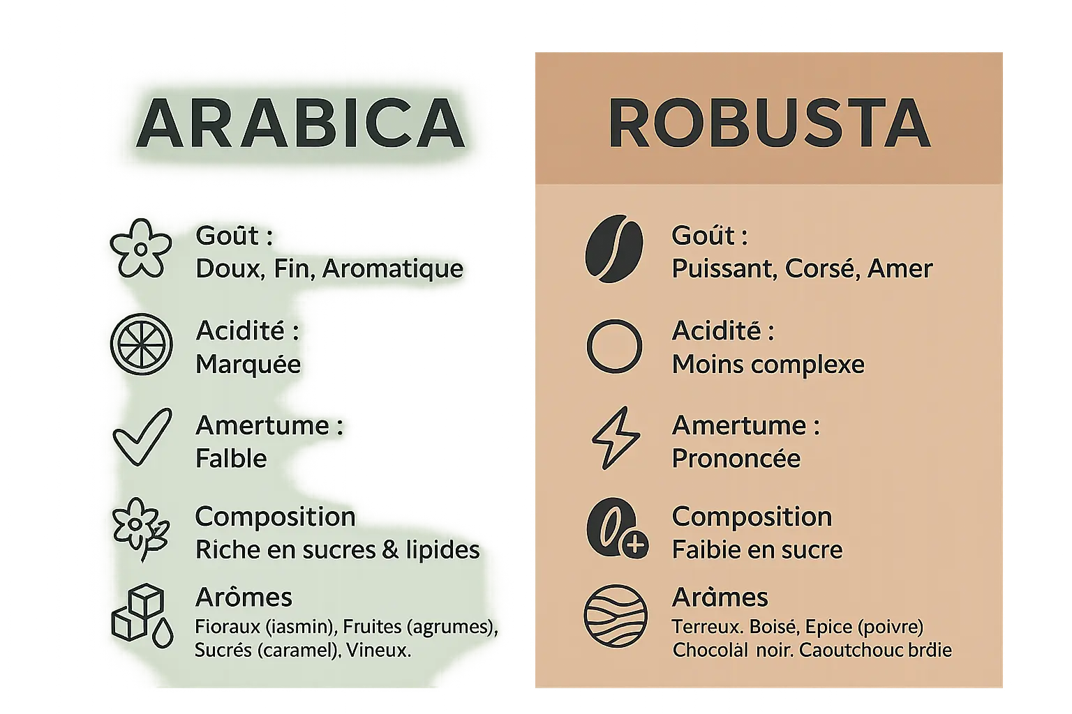Comparaison visuelle des grains d'arabica et de robusta