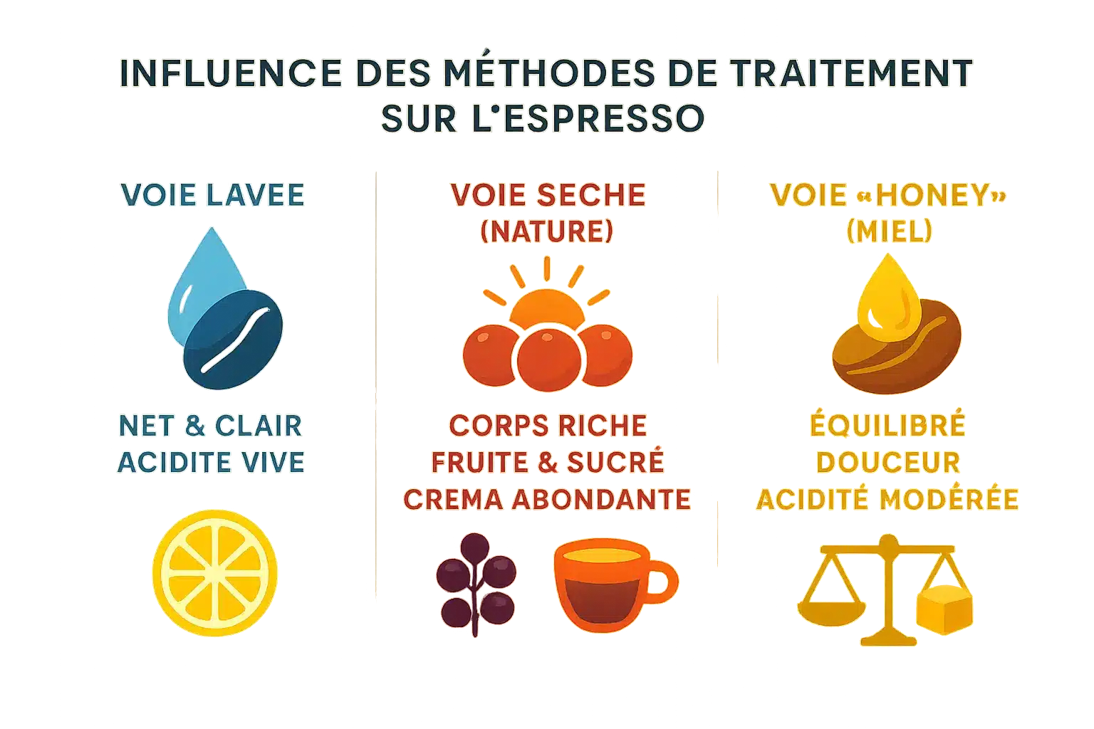 Différentes étapes du traitement des grains de café